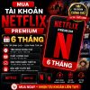 Mua tài khoản Netflix Premium 6 tháng