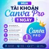 Mua Canva Pro 1 ngày