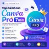 Mua tài khoản Canva Pro 7 ngày