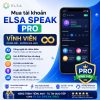 Mua tài khoản Elsa Pro vĩnh viễn
