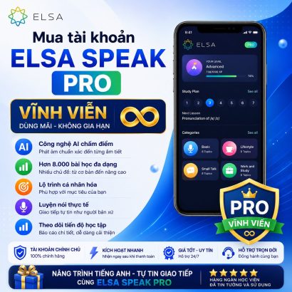 Mua tài khoản Elsa Pro vĩnh viễn