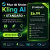 Kling AI Standard