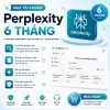 Perplexity Pro 6 tháng