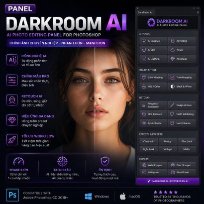 Panel DarkRoom AI